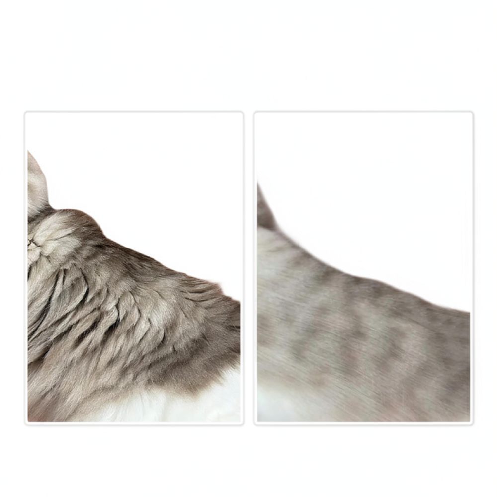 Professional Dog Grooming Brus - огляд і ціна Undercoat Rake Dematting Tool Dog Shedding
